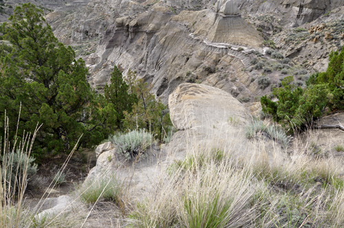 Montana's Makoshika State Park